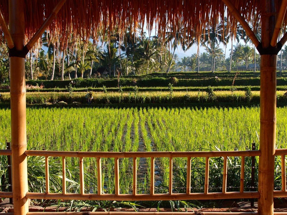 Les Rizieres Lombok - Tetebatu Hotel Exterior photo
